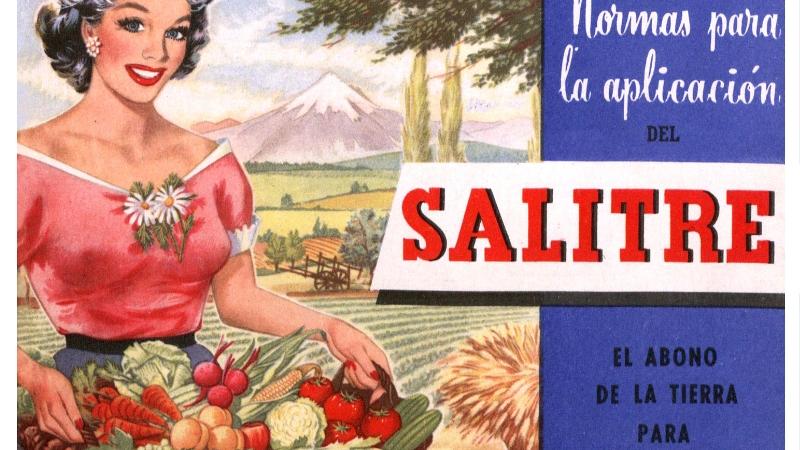 Afiche Chile