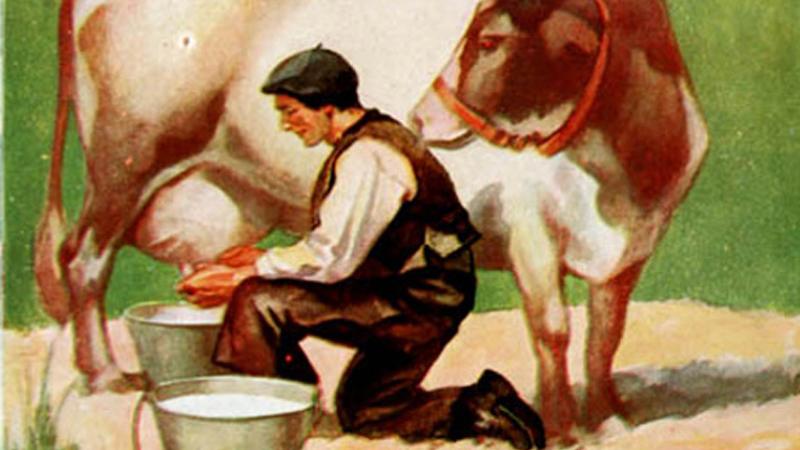Iconografía del salitre en España