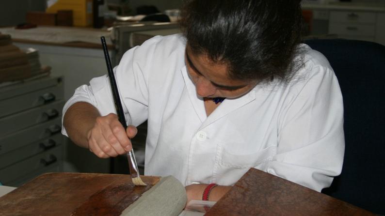 Proceso de restauración