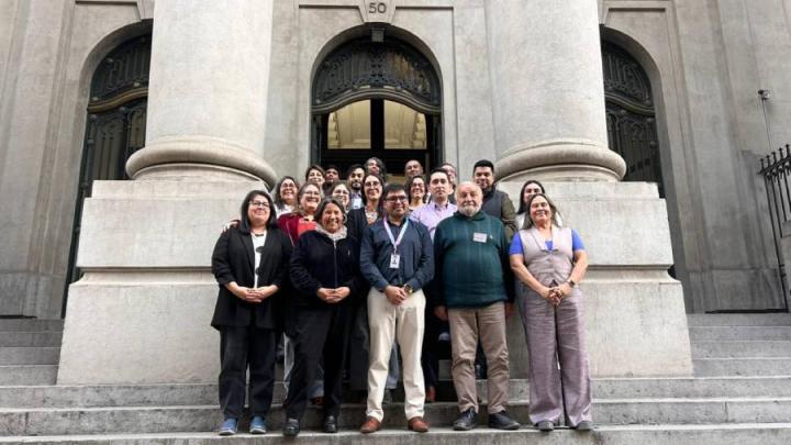 Fotografía de conservadores SINAR.