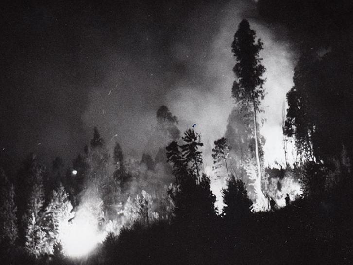 Incendio de bosque.