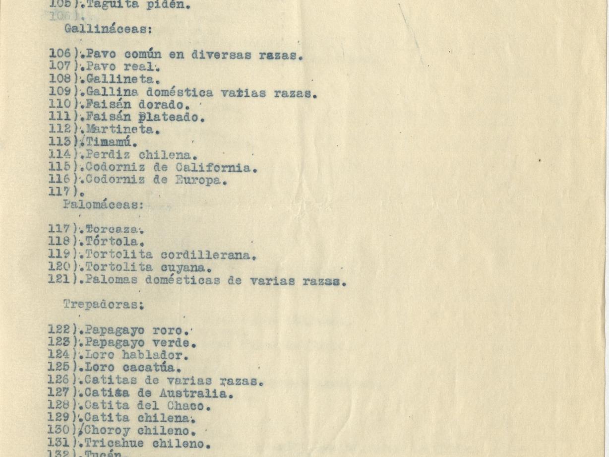 Documento.