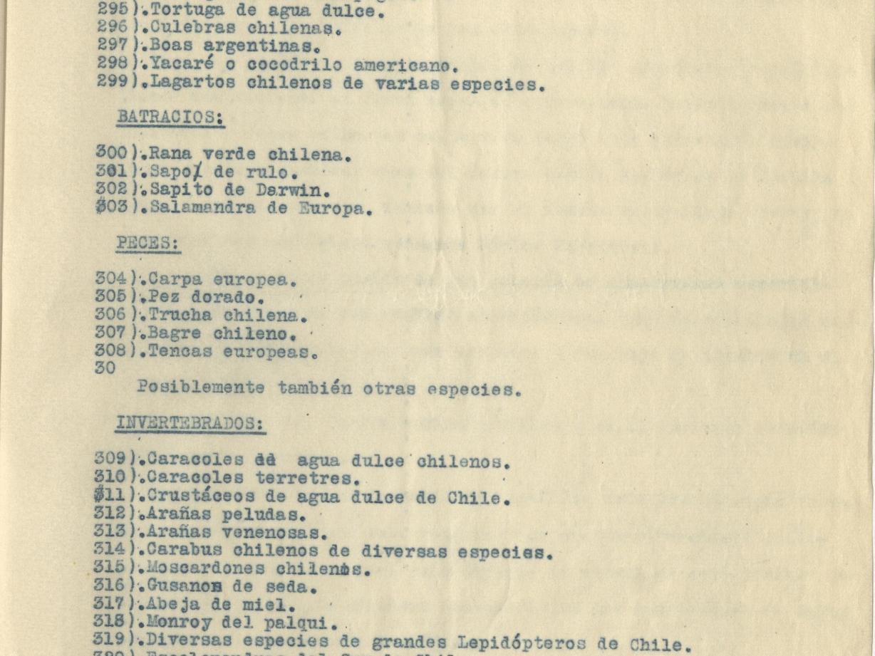 Documento.