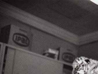 Fotografía.