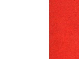CONSTITUCIÓN DE  1833