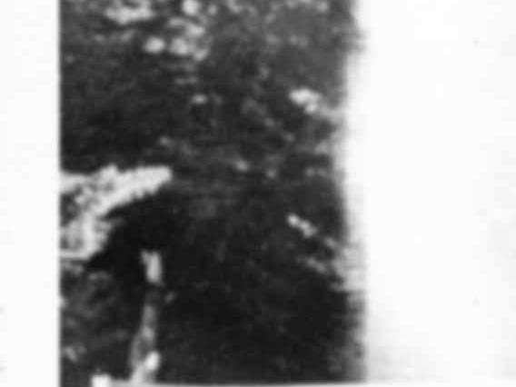 Fotografía de concentración de mujeres en apoyo a María de la Cruz. AMG, Grupo Fondos Donaciones, caja 16.