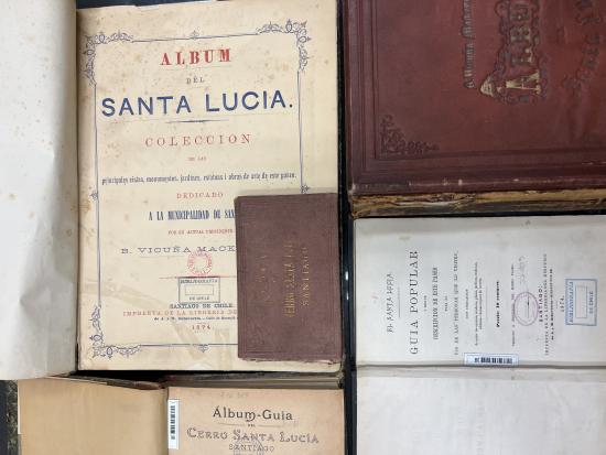 Documentos Comité MowChile