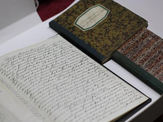 Diarios de viaje de Francisco Echaurren.