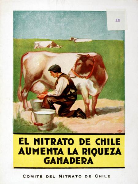 Volante publicitario Volante publicitario