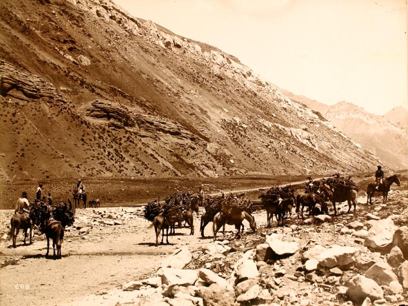 Arrieros y caballos Arrieros y caballos