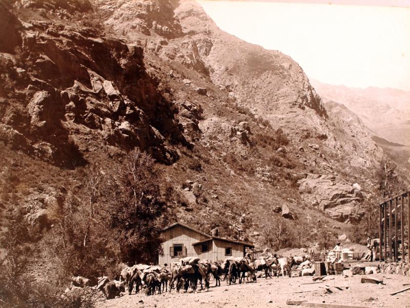 Caballos y vivienda Caballos y vivienda