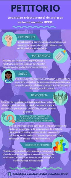 Petitorio Asamblea Triestamental de Mujeres Autoconvocadas Universidad de la Frontera (ATMA-UFRO), Temuco, 2018. Donación Francisca Vilches- ATMA UFRO.