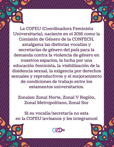 Volante Coordinadora Feminista Universitaria (COFEU), 2018. Donación Amanda Mitrovich- COFEU.