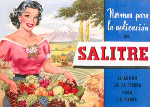 Afiche del salitre con mujer campesina con una gran cesta de frutas